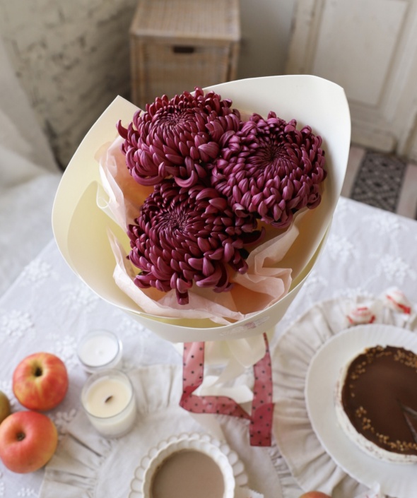 Букет из винных хризантем в нежном оформлении №2116 Букет из винных хризантем в нежном оформлении №2116