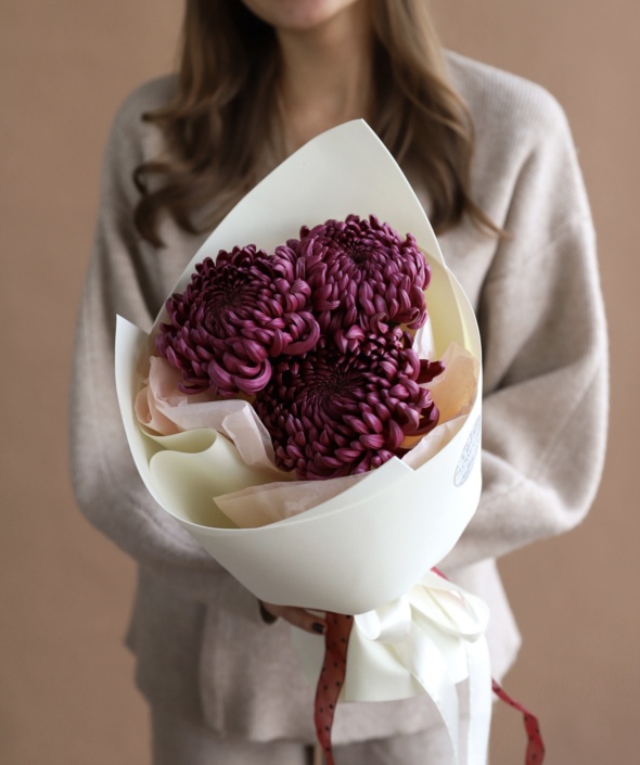 Букет из винных хризантем в нежном оформлении №2116 Букет из винных хризантем в нежном оформлении №2116