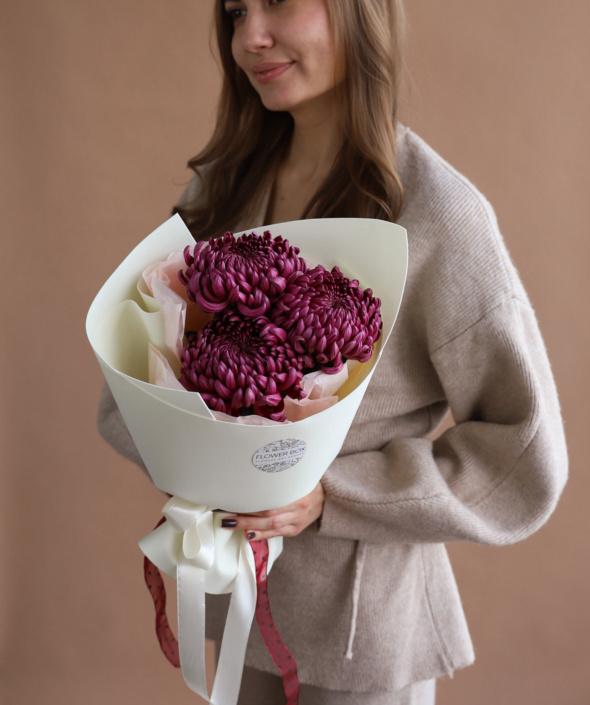 Букет из винных хризантем в нежном оформлении №2116 Букет из винных хризантем в нежном оформлении №2116