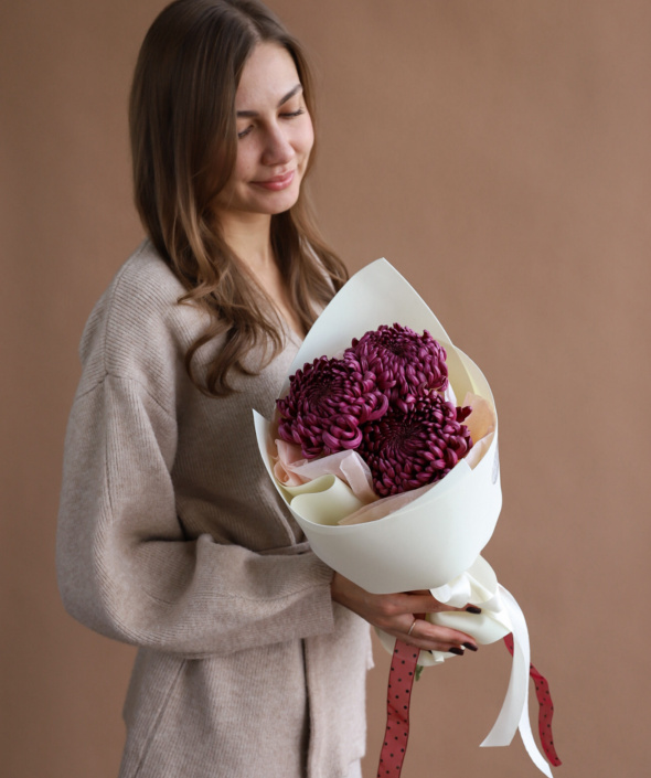 Букет из винных хризантем в нежном оформлении №2116 Букет из винных хризантем в нежном оформлении №2116