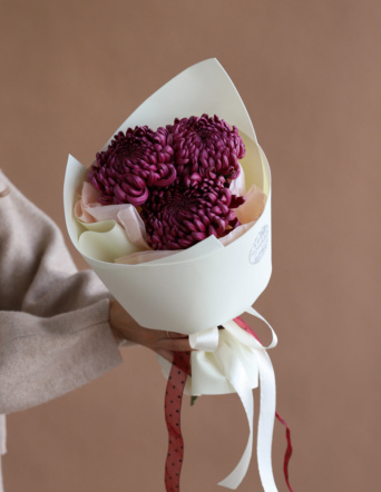 Букет из винных хризантем в нежном оформлении №2116 Букет из винных хризантем в нежном оформлении №2116