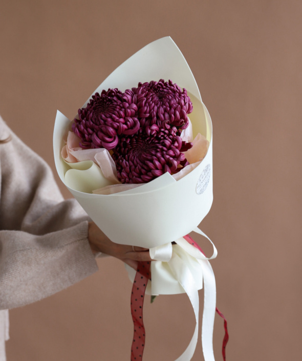 Букет из винных хризантем в нежном оформлении №2116 Букет из винных хризантем в нежном оформлении №2116