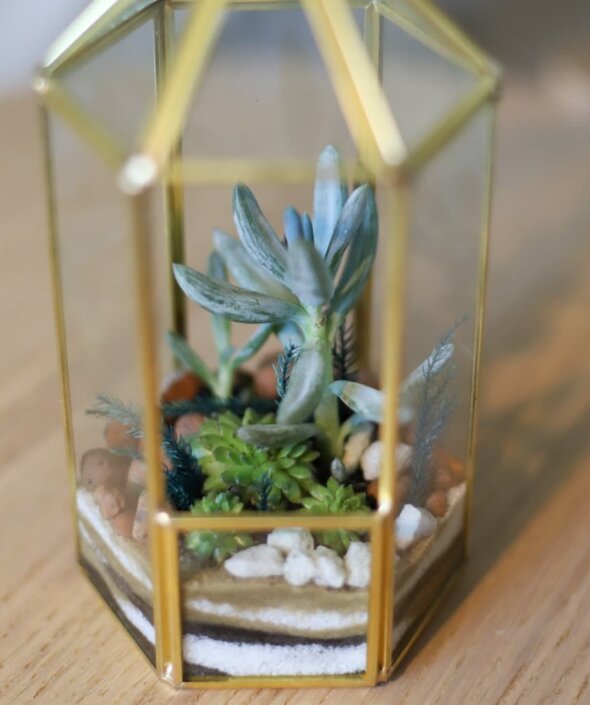 Флорариум для дома №1384