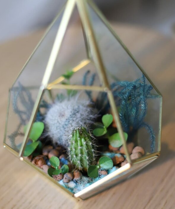 Флорариум для дома в морском стиле №1383