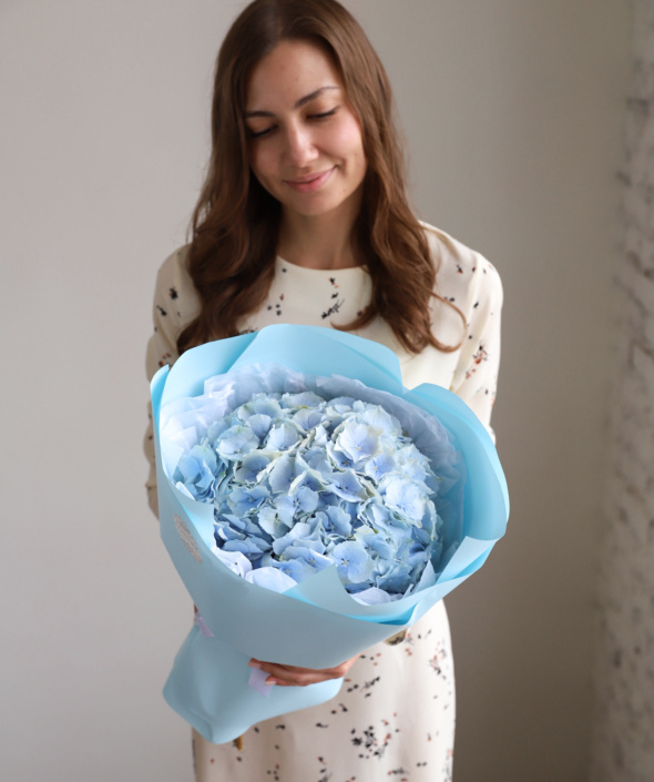 Гортензия голубая в нежном оформлении №1682