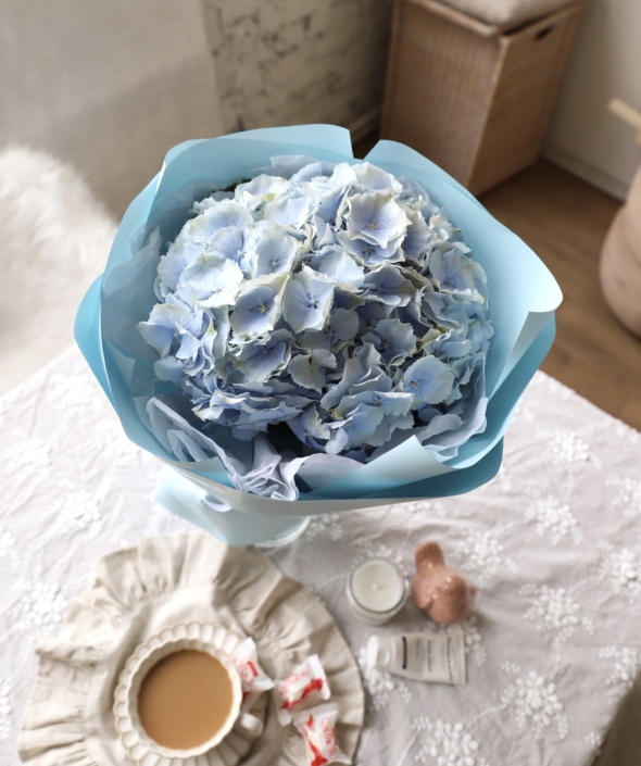 Гортензия голубая в нежном оформлении №1682
