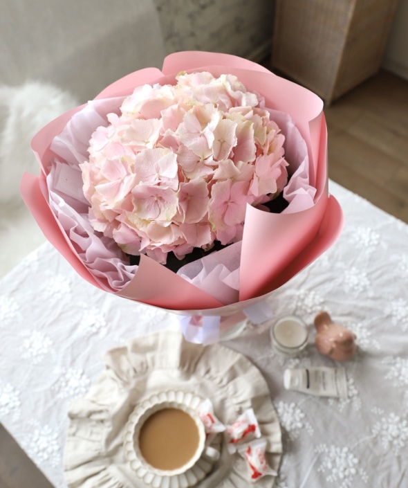 Гортензия розовая в нежном оформлении №1683