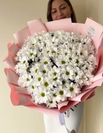 Хризантемы кустовые белые в розовом оформлении (15 шт)  №561