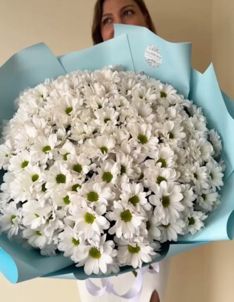 Хризантемы ромашковые в голубом оформлении (25 шт) №616