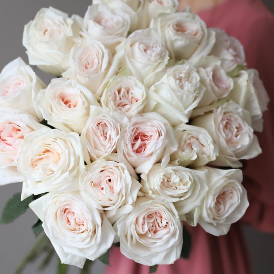 Пионовидные розы в ленту (25 шт) №1029 - Фото 2