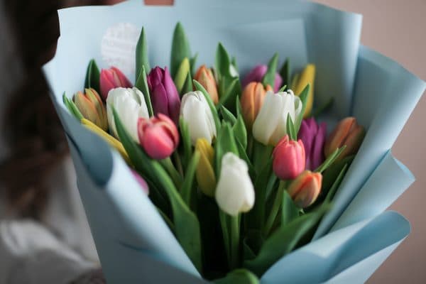 Монобукет из тюльпанов (21 шт, Голландия) №1064 - Фото 31