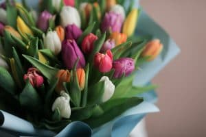 Монобукет из тюльпанов (31 шт, Голландия) №1065 - Фото 4
