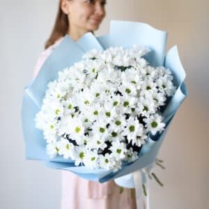Хризантемы кустовые белые в голубом оформлении (11 шт) №615 - Фото 5
