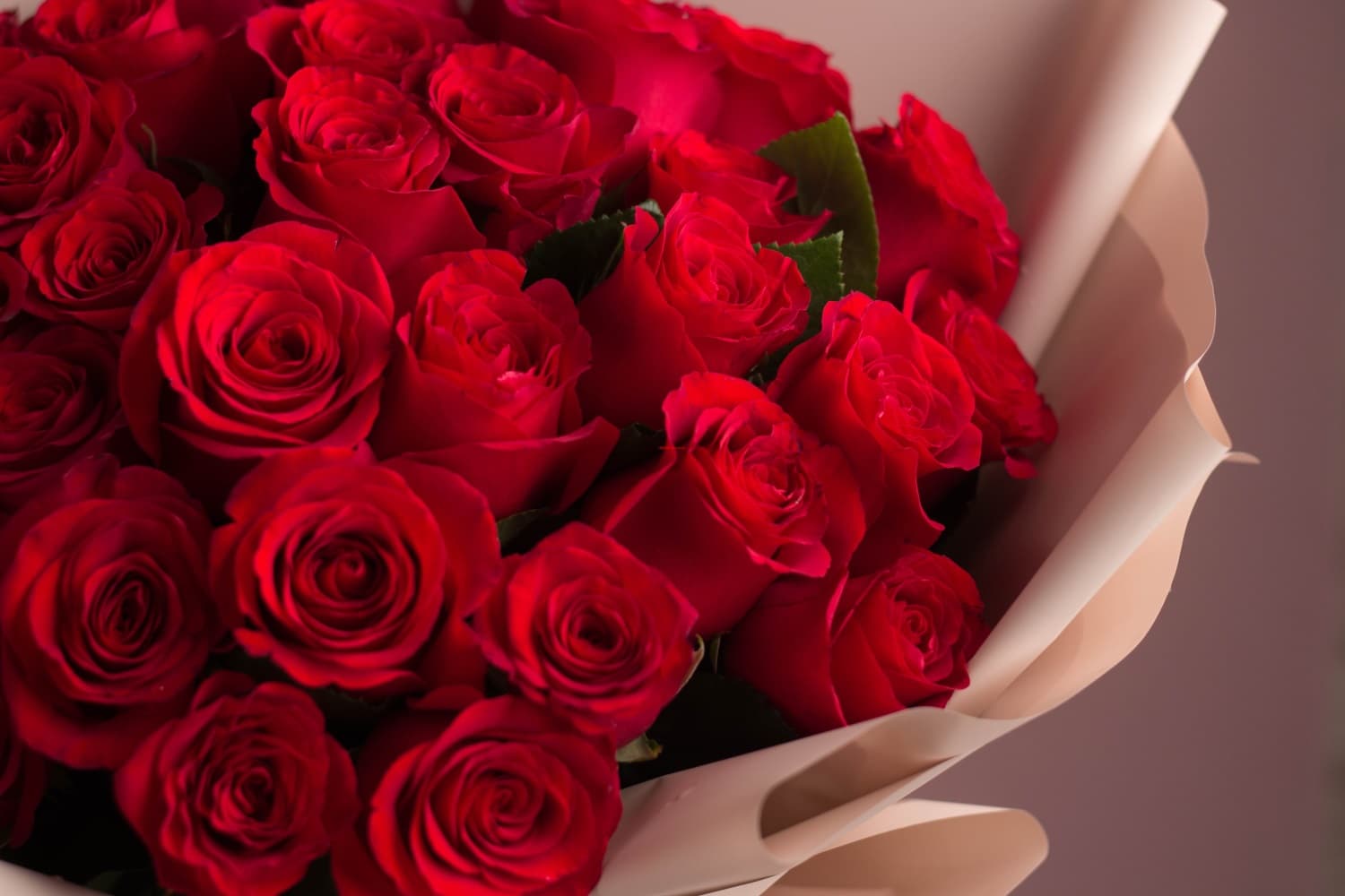 Красные розы в бежевом оформлении (41 шт) №512 - Фото 2
