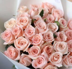 Розы розовые в белом оформлении (Россия, 35 шт) №1026 - Фото 4