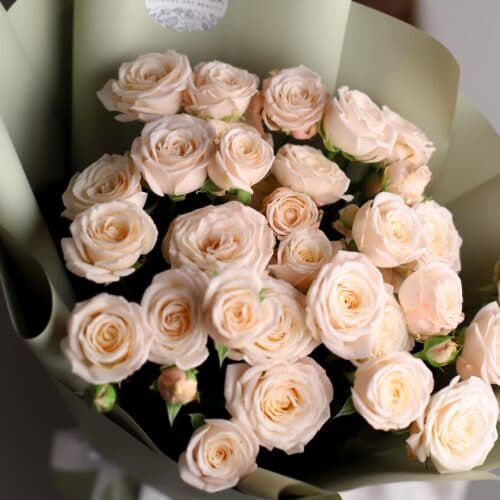 Кустовые пионовидные розы в фисташковом оформлении (7 шт) №1208 - Фото 35