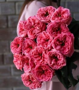Пионовидные розы в ленту (15 шт) №1116 - Фото 4