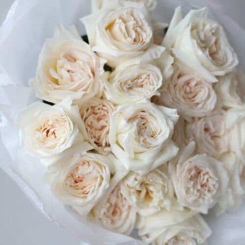 Пионовидные розы White O`hara в воздушном оформлении (21 шт) №1188 - Фото 259
