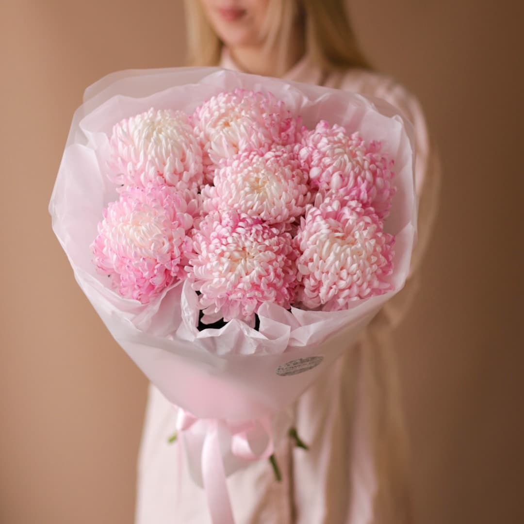 Нежно-розовые одноголовые хризантемы в оформлении (7 шт) №1797 - Фото 1