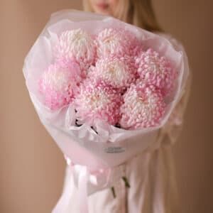 Нежно-розовые одноголовые хризантемы в оформлении (7 шт) №1797 - Фото 4