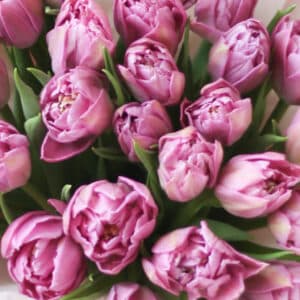 Тюльпаны в нежном оформлении (25 шт) №1496 - Фото 4
